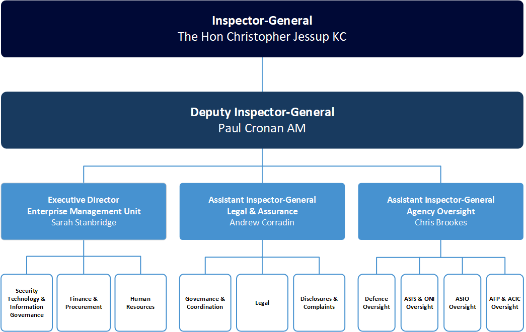 IGIS Structure