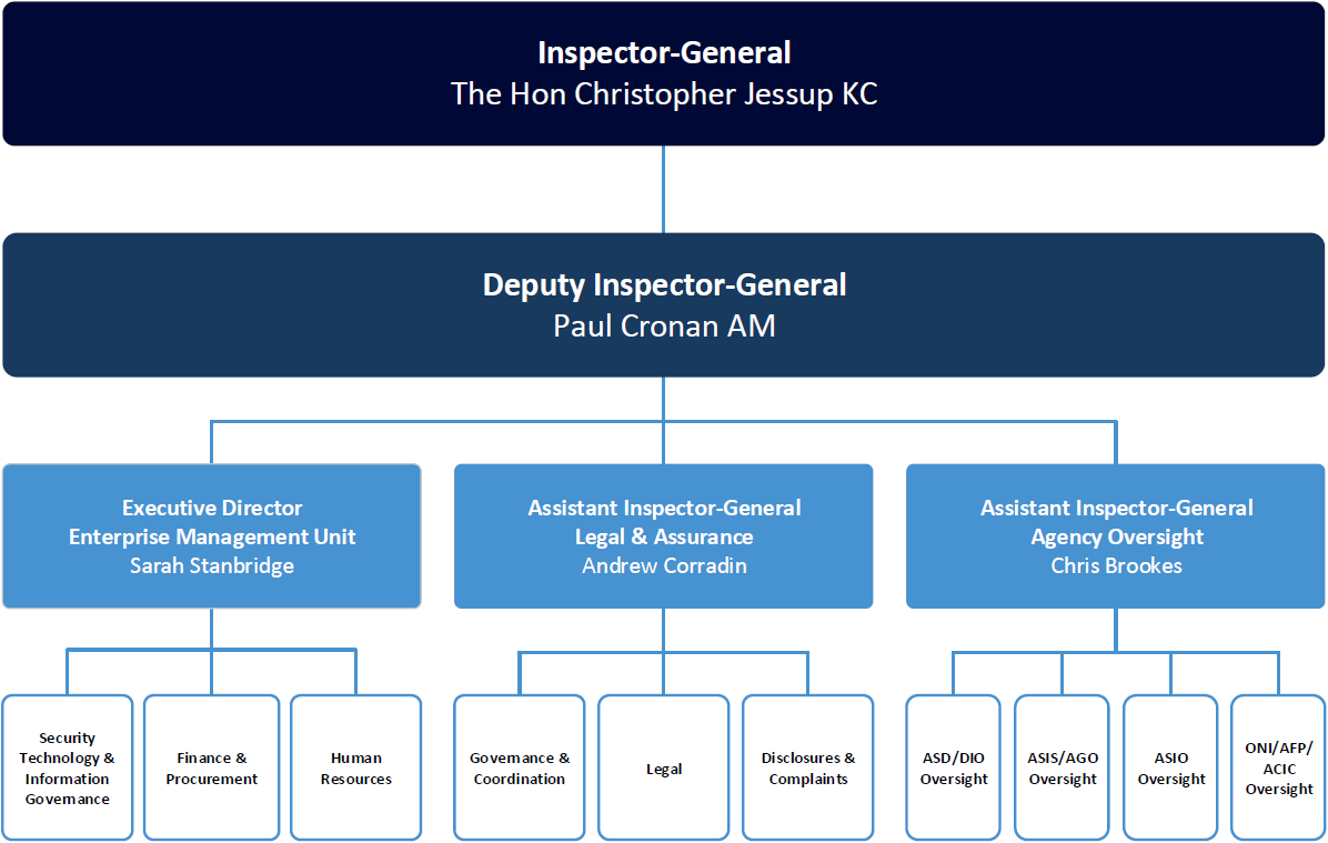 OIGIS organisational structure